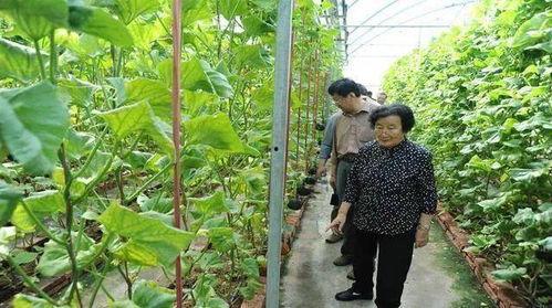 吴忠吃瓜最新事件爆料是真的吗 第2张 吴忠吃瓜最新事件爆料是真的吗 第2张