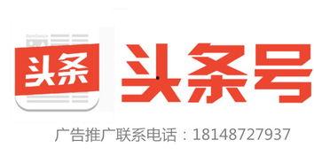 今日头条爆料电话热线,揭秘热点事件背后的真相 第3张 今日头条爆料电话热线,揭秘热点事件背后的真相 第3张